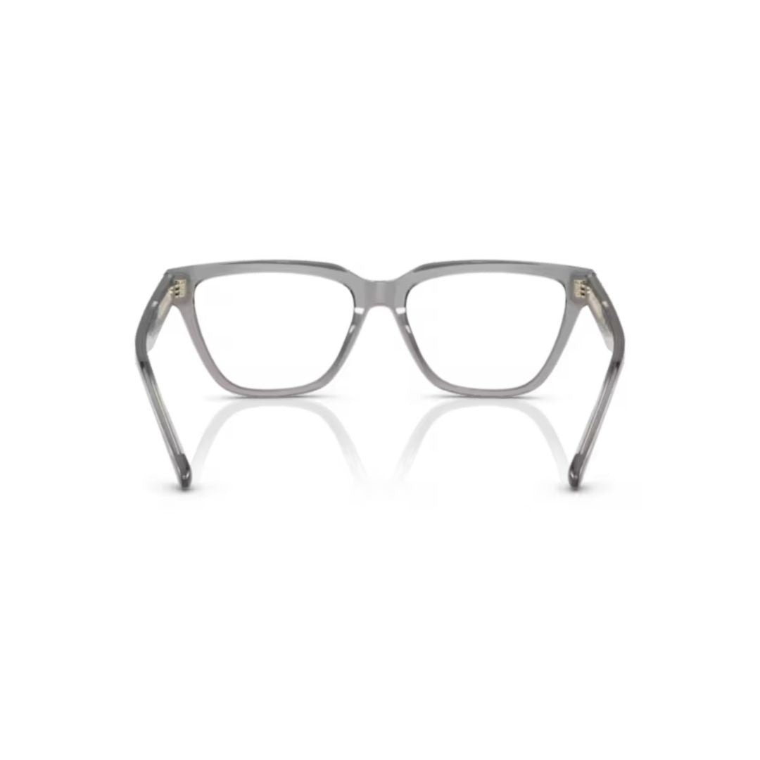 Emporio Armani 3208 Vista Translucent Acetate Sunglasses With Modern Square Design
