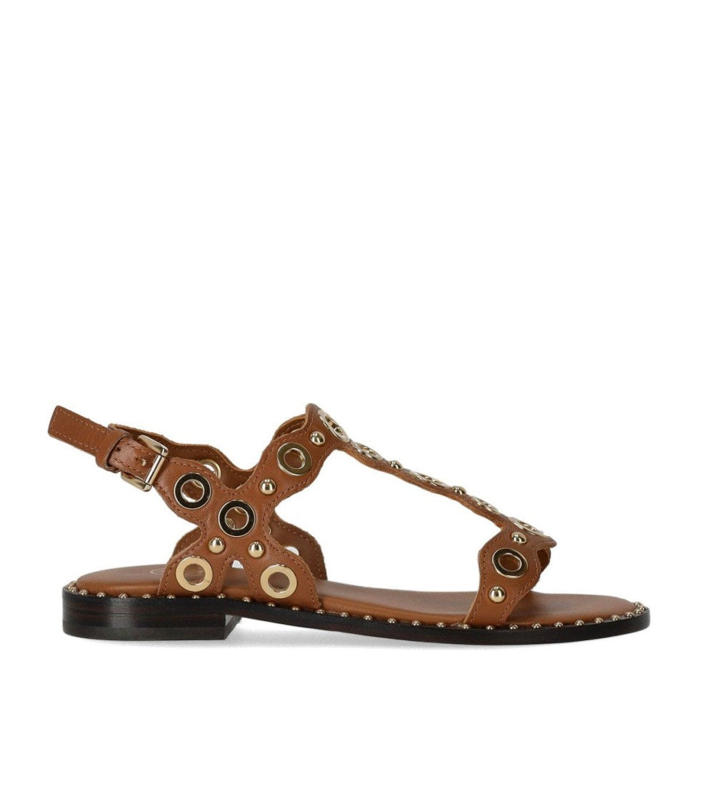 Ash Pop Cinnamon Flat Sandal