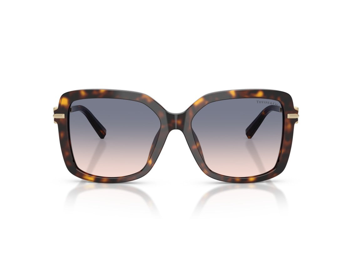 Tiffany & Co. Tortoiseshell 0Tf4252b Acetate Oversized Square Sunglasses
