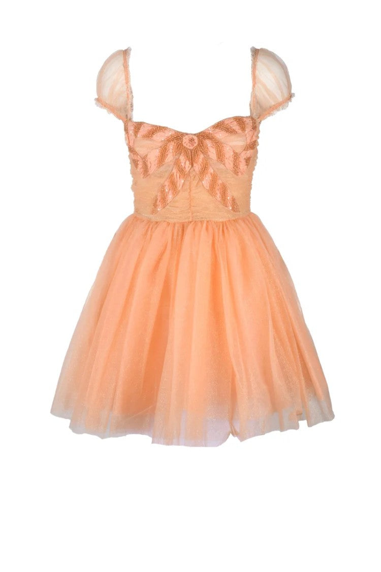 Elisabetta Franchi Tulle Dress Balloon Sleeves - Pink