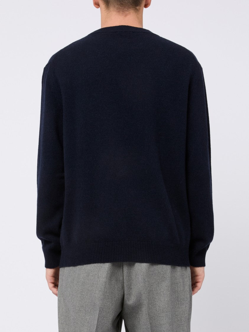 Daniele Fiesoli Cashmere Crew Neck Sweater