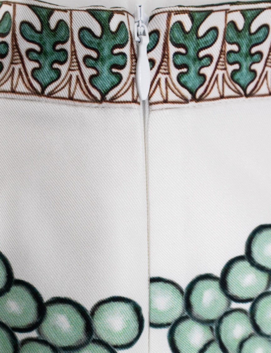 Fabiana Filippi Flared Picta-Print Silk Twill Skirt