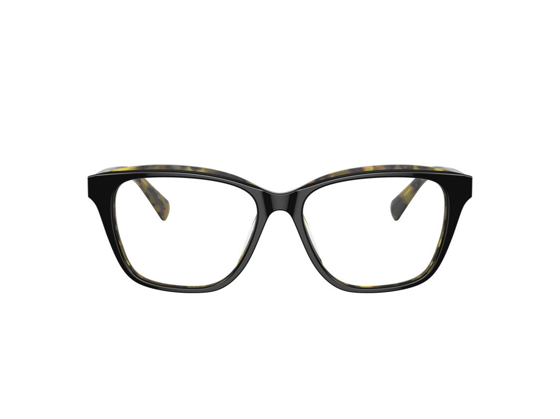 Brunello Cucinelli 0Bc3004 Acetate Oversized Square Sunglasses