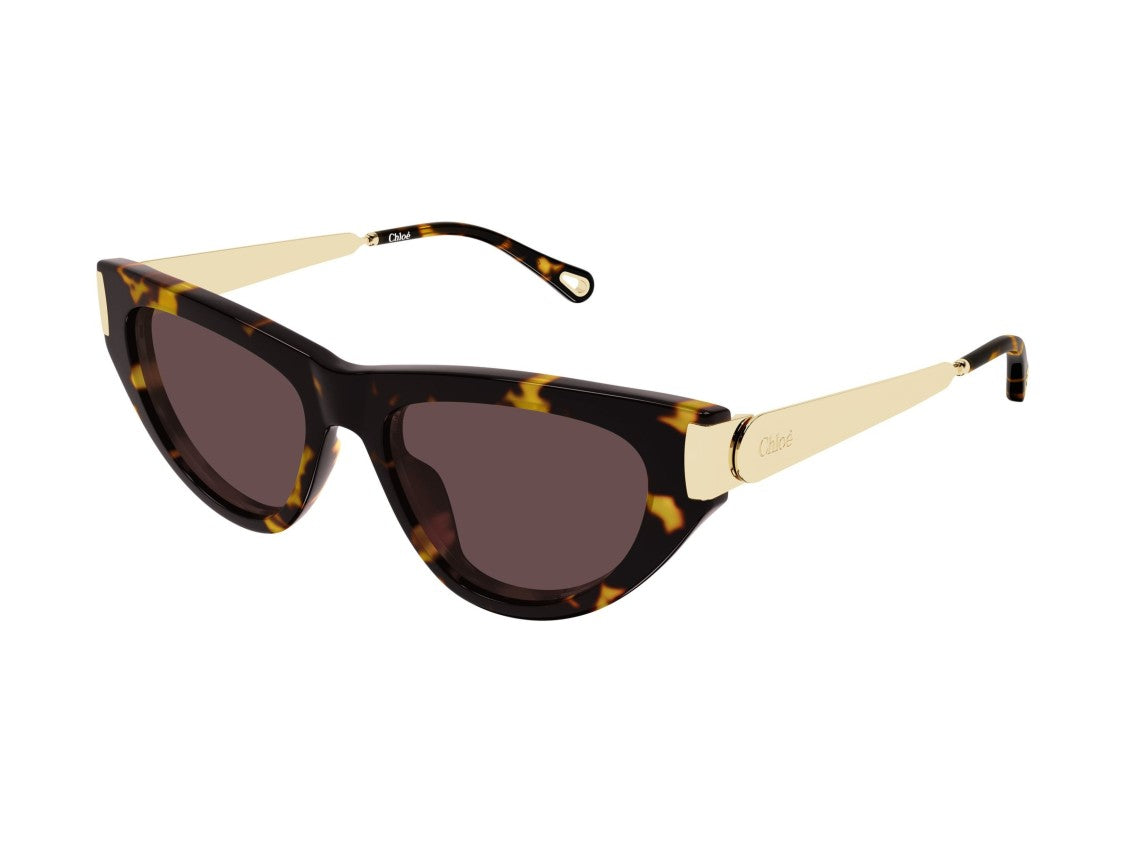 Chloé Ch0350s Engraved Tortoiseshell Bold Cat-Eye Sunglasses