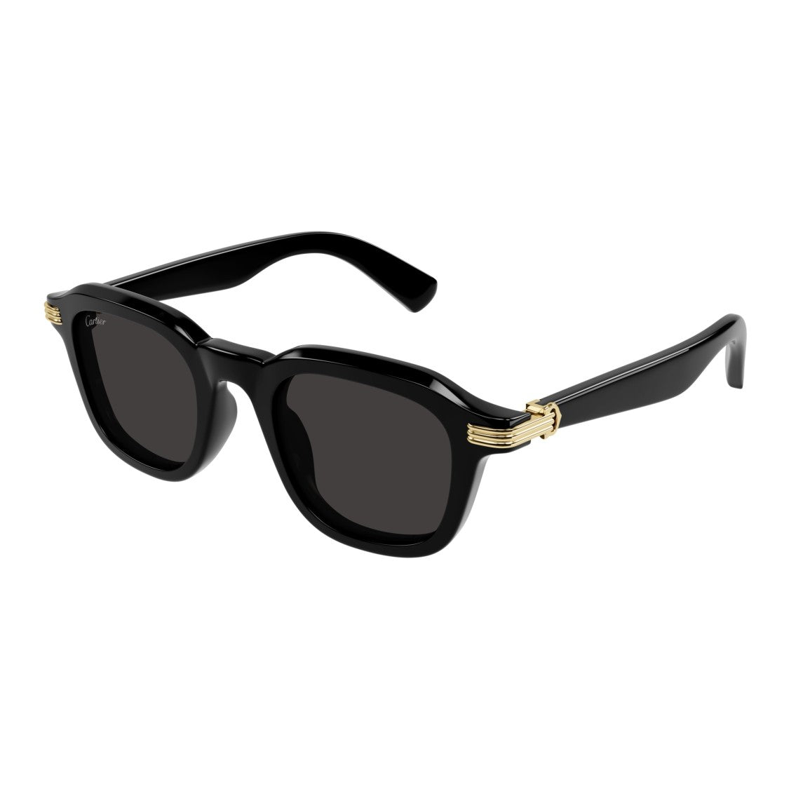 Cartier Ct0536s Square-Frame Sunglasses With Gold-Tone Accents
