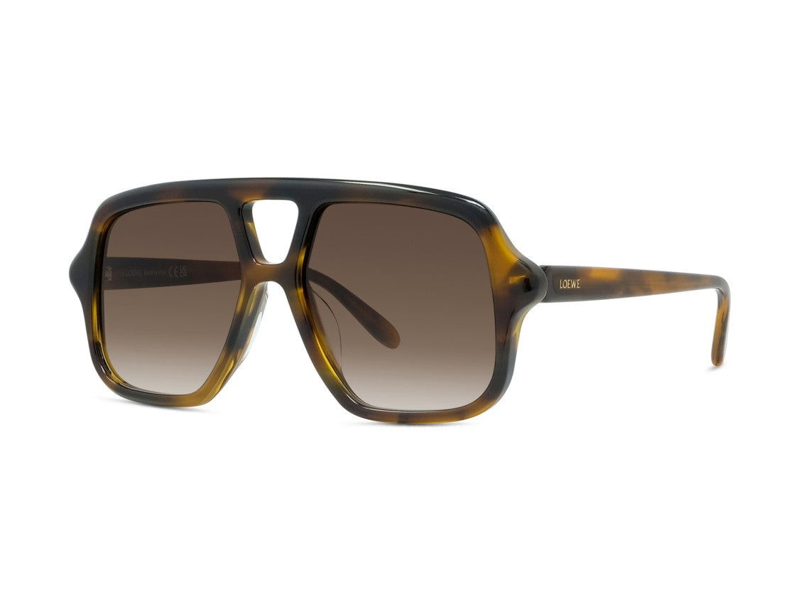 Loewe Tortoiseshell Lw40161u Oversized Square Acetate Sunglasses