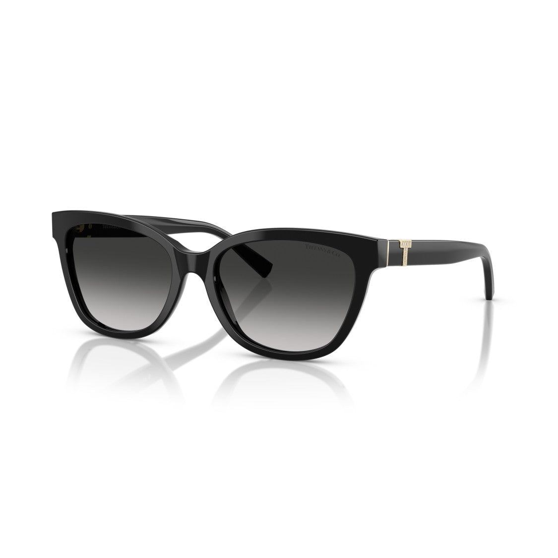 Tiffany & Co. 0Tf4237b Oversized Square Frame Sunglasses