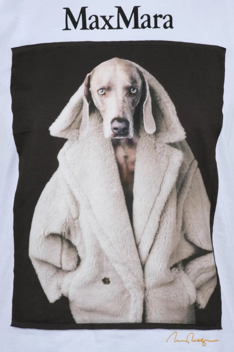 Max Mara Cotton T-Shirt - White