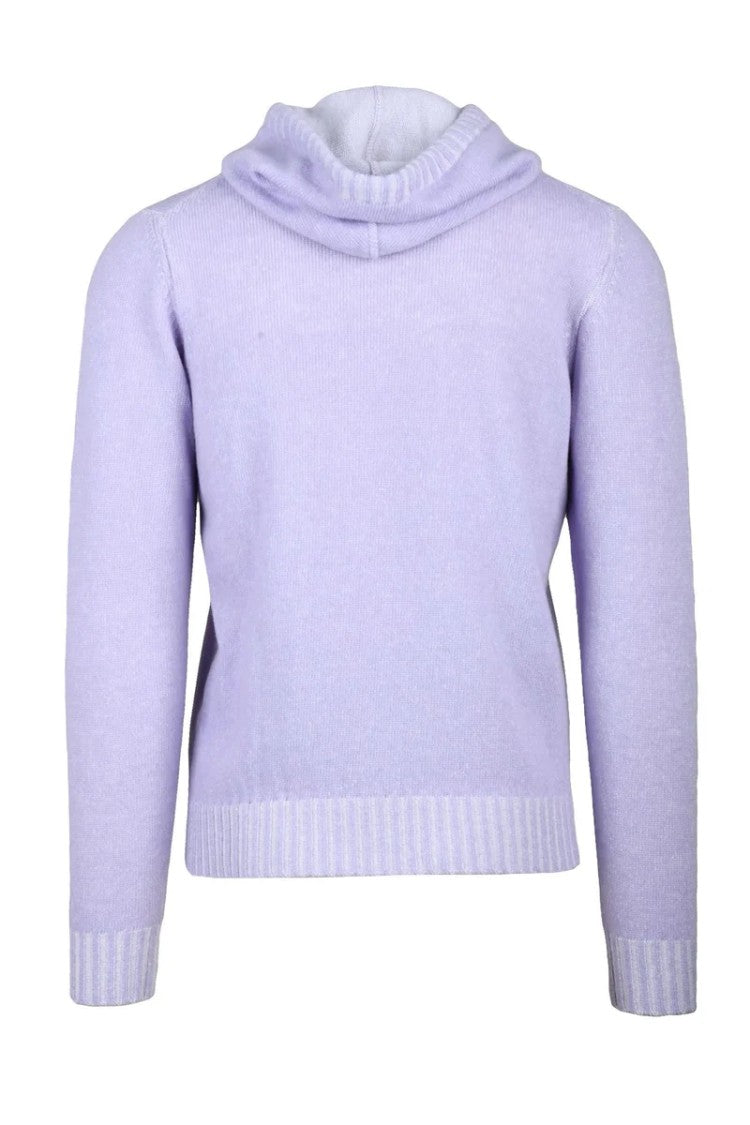 Darwin Wisteria Virgin Wool Men's Hooded Sweater