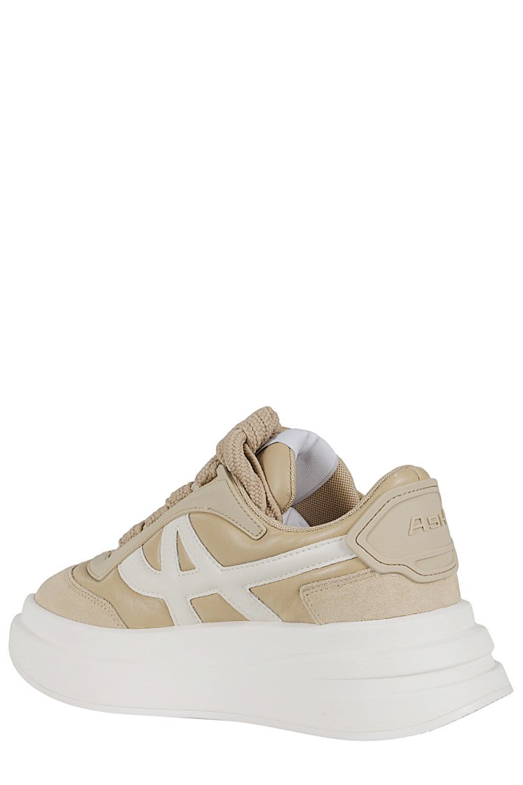 Ash Impetus Sneakers