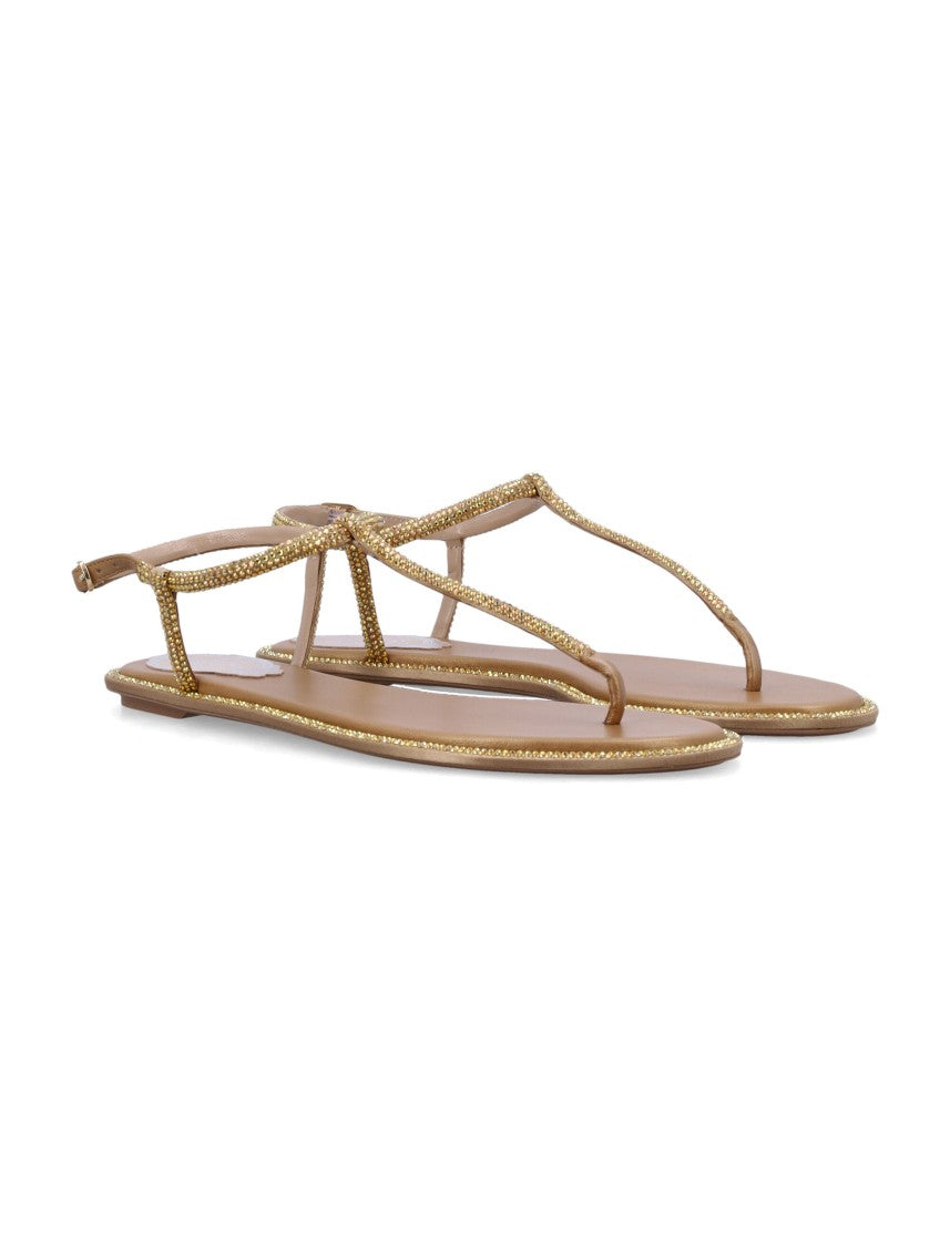 René Caovilla Diana Flat Tong Sandal