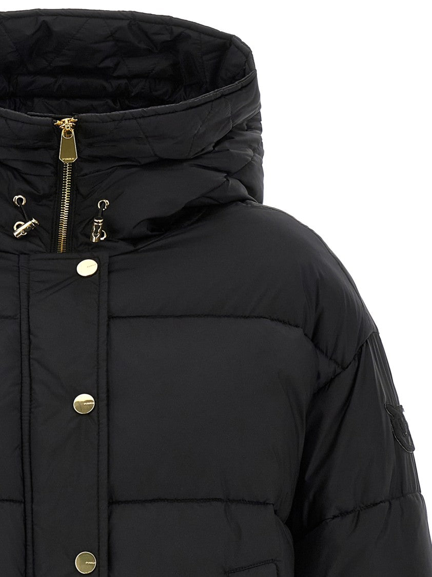 Pinko Impasto' Down Jacket