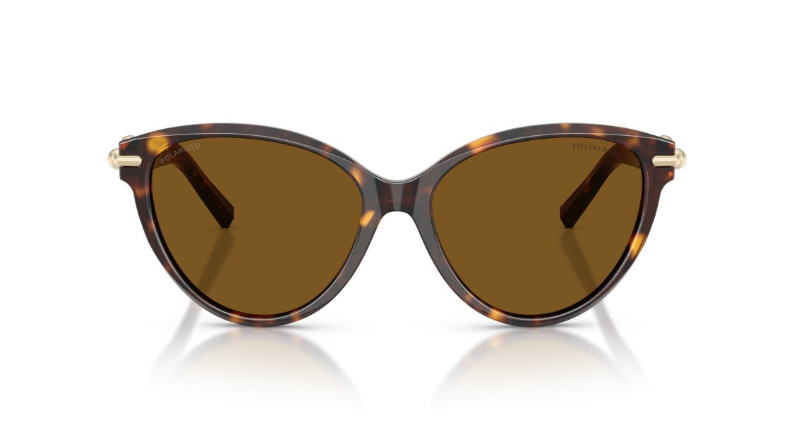 Tiffany & Co. 0Tf4261 Rounded Cat-Eye Sunglasses