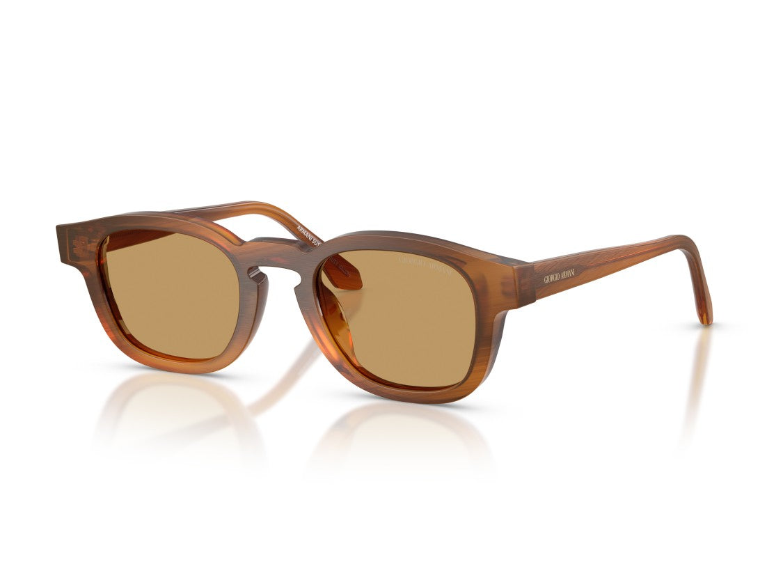 Giorgio Armani Brown 0Ar8254u Translucent Acetate Square Sunglasses