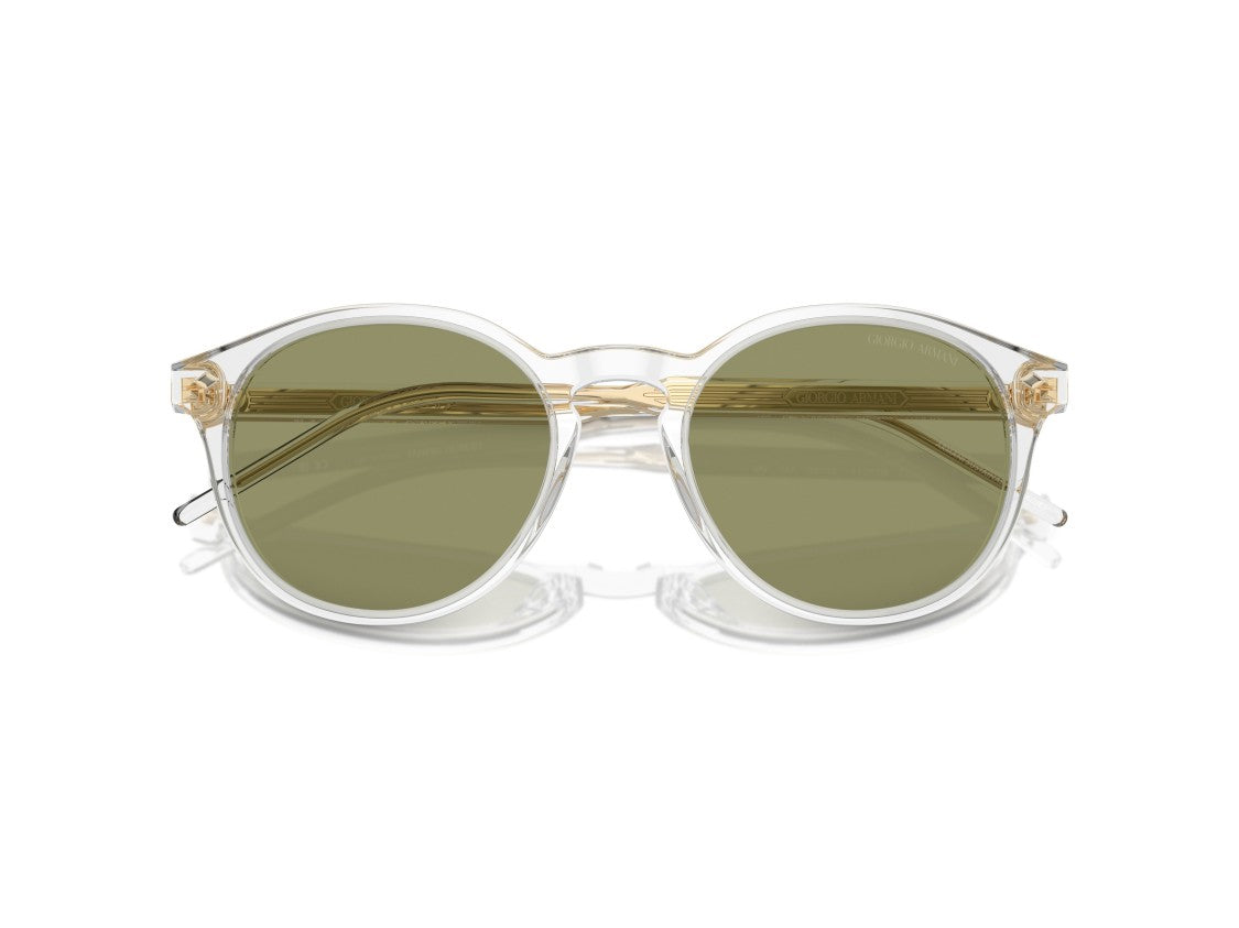 Giorgio Armani Olive Green 0Ar8211 Translucent Acetate Round Sunglasses
