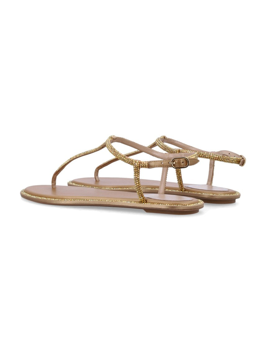 René Caovilla Crystals Diana Thong Sandals