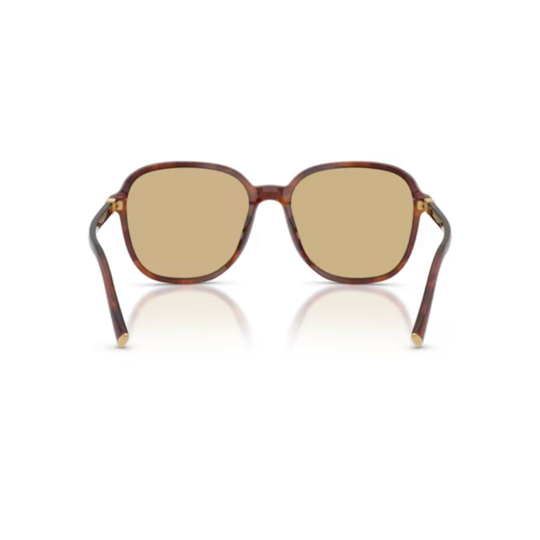 Miu Miu 0Mu B01s Classic Tortoiseshell Square Frame Sunglasses