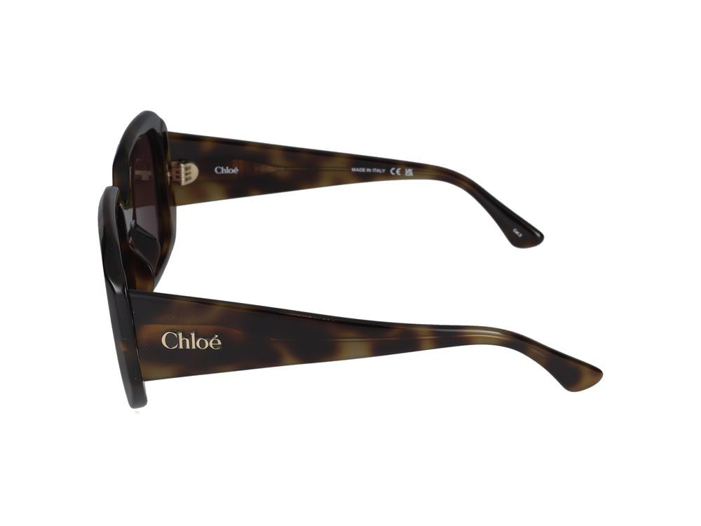 Chloé Sunglasses Ch0300s 002 Havana Havana Violet 54/20/140