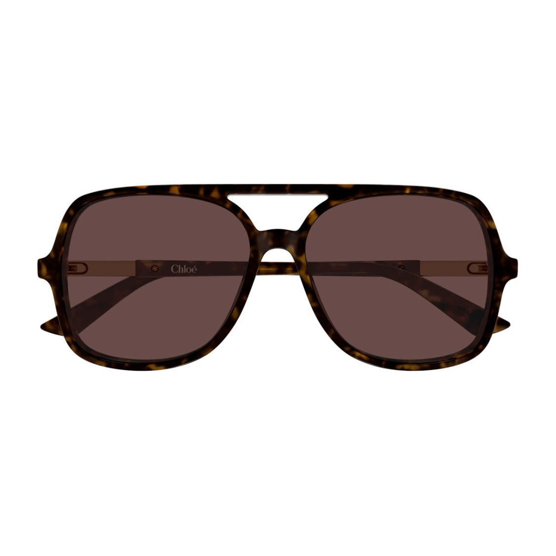 Chloé Havana Ch0364s Oversized Acetate Aviator Sunglasses