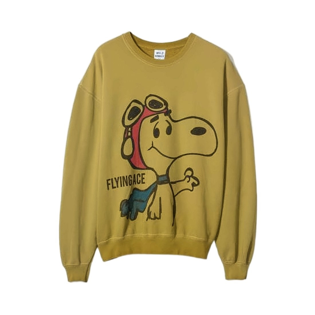 Wild Donkey Relaxed Fit Long-Sleeve Graphic Sweatshirt With Aviator Print