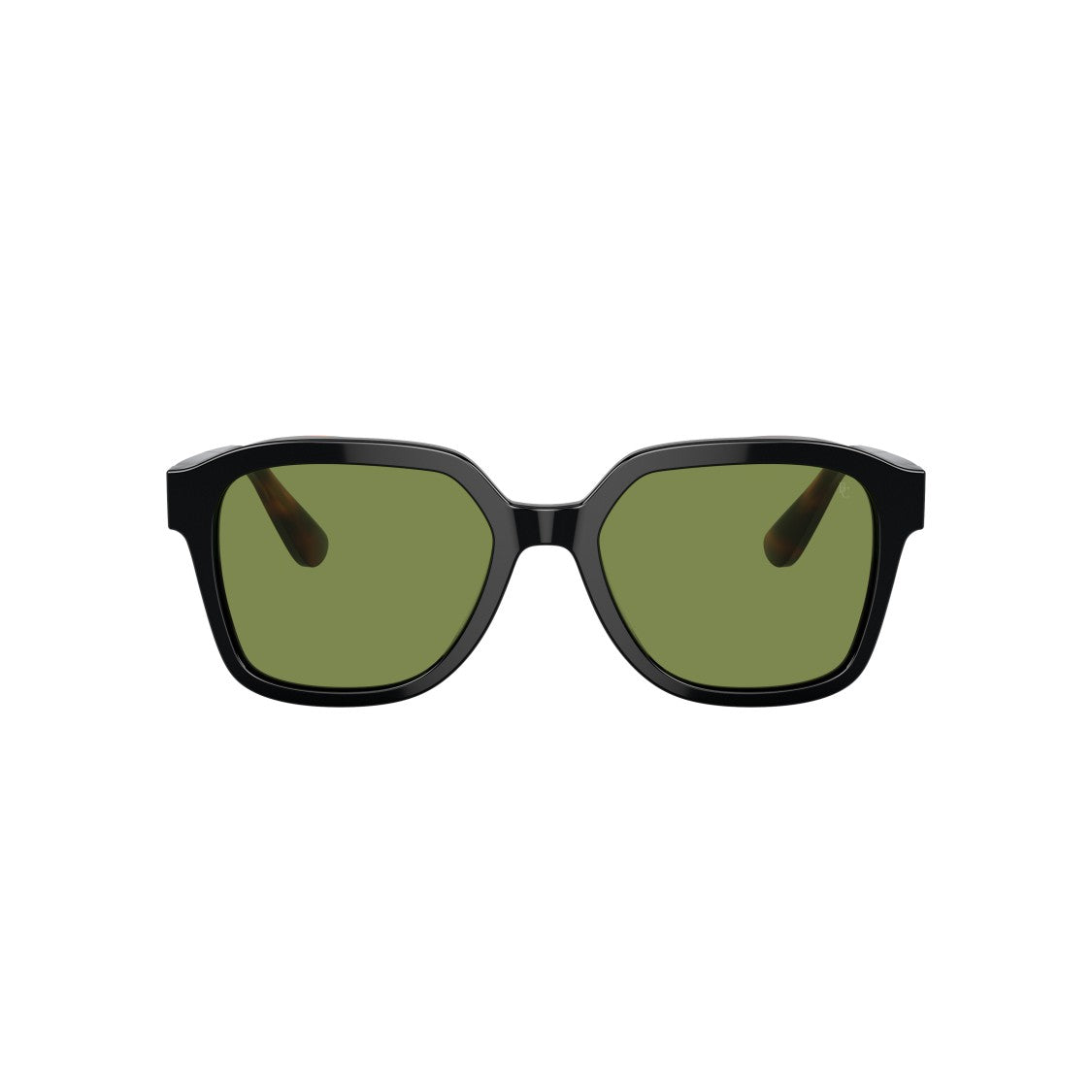 Brunello Cucinelli 0Bc4005s Square-Shaped Acetate Sunglasses With Tortoiseshell Temples