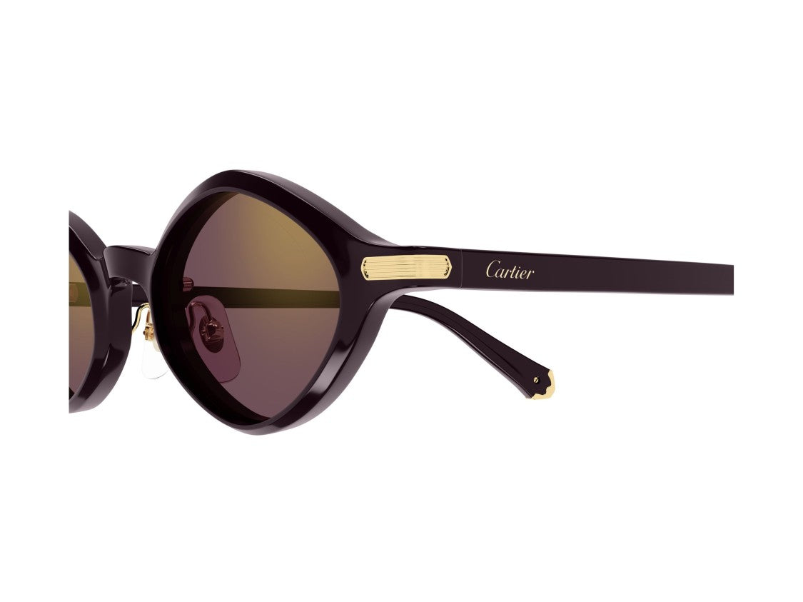 Cartier Ct0540s Rounded Gold Accents Sunglasses