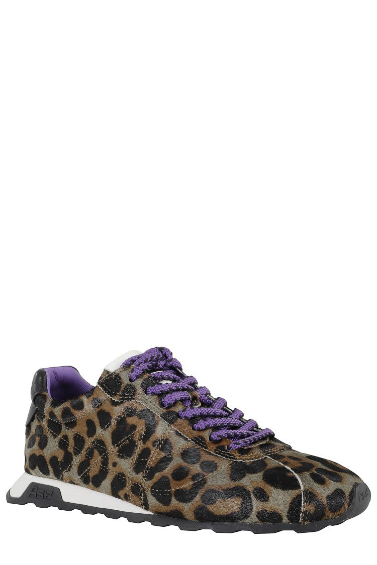 Ash Pony Leopard Print Sneakers