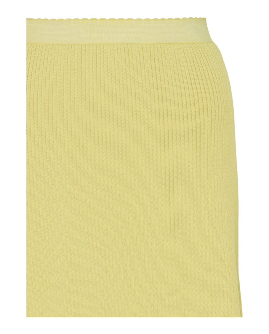 Balenciaga Lace Slip Skirt