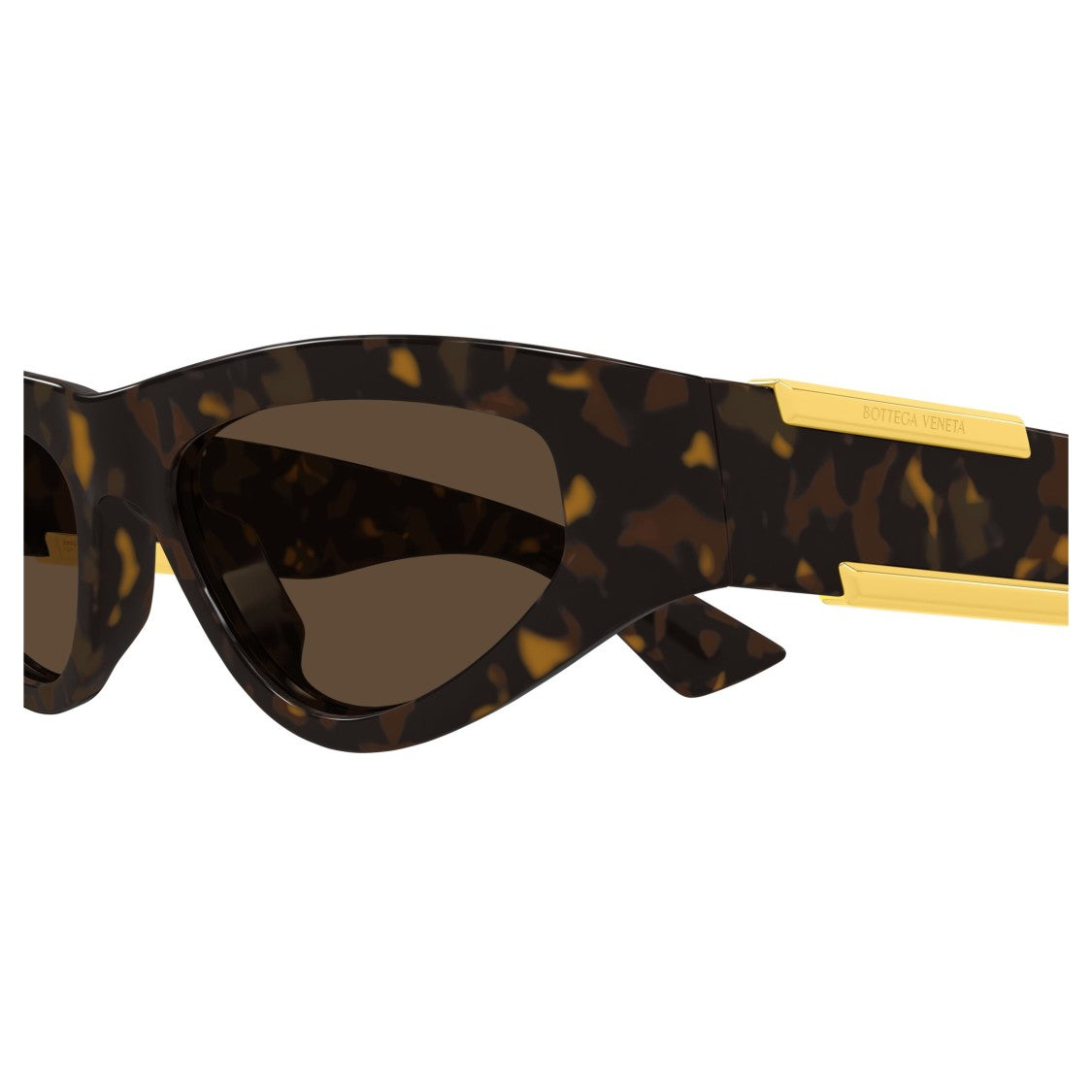 Bottega Veneta Bv1407s Cat-Eye Sunglasses