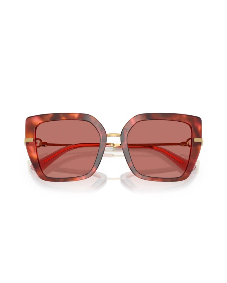 Dolce & Gabbana Havana Brown Metal Frame Sunglasses