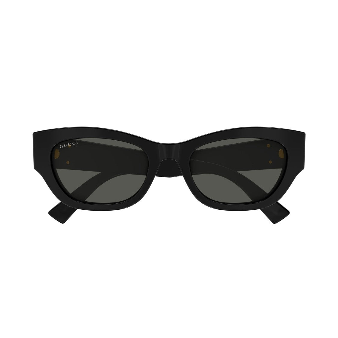 Gucci Gg1954sa Cat-Eye Sunglasses