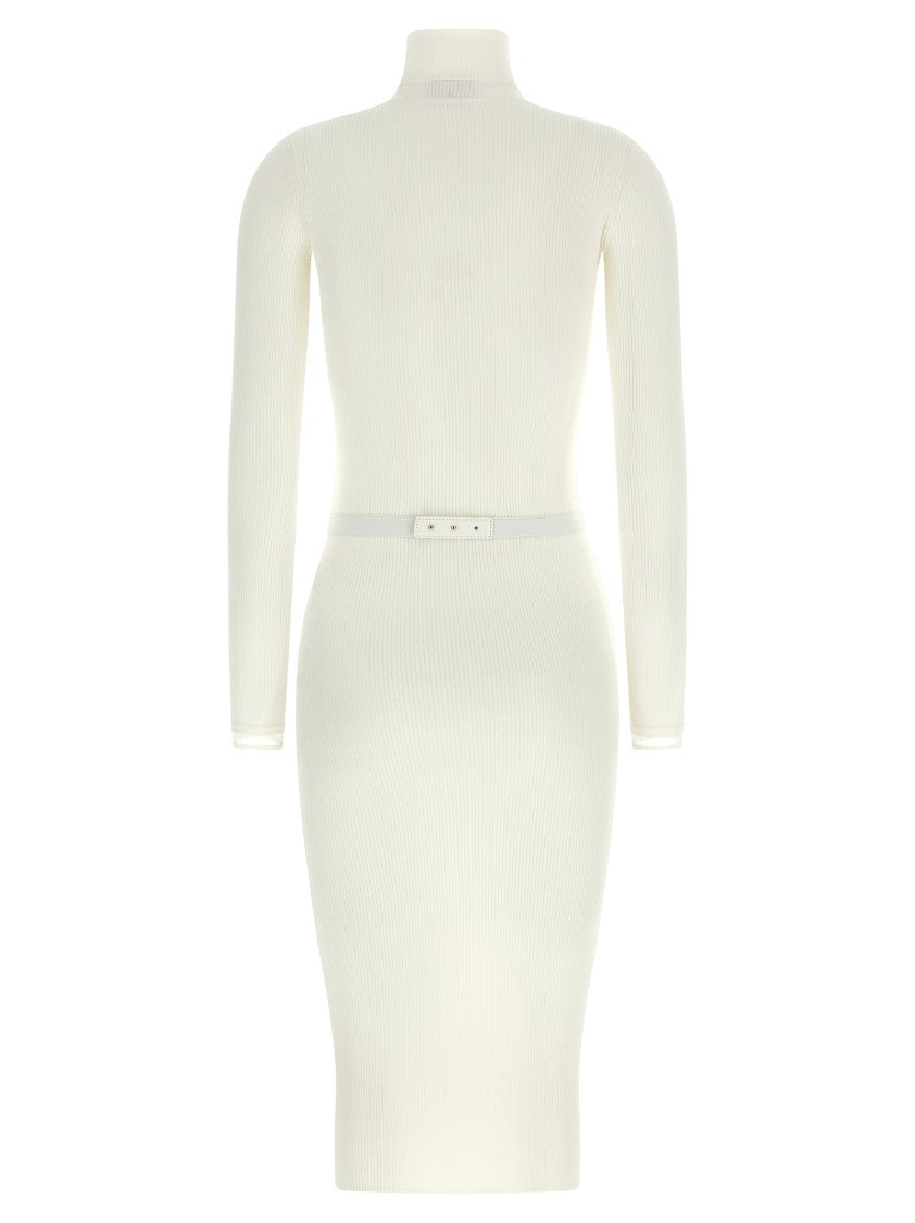 Elisabetta Franchi Logo Belt Dress