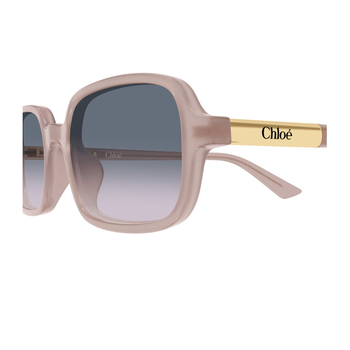 Chloé Pink Ch0363s Oversized Rectangular Acetate Sunglasses