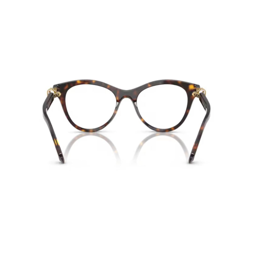 Swarovski 0Sk2036 Cat-Eye Sunglasses