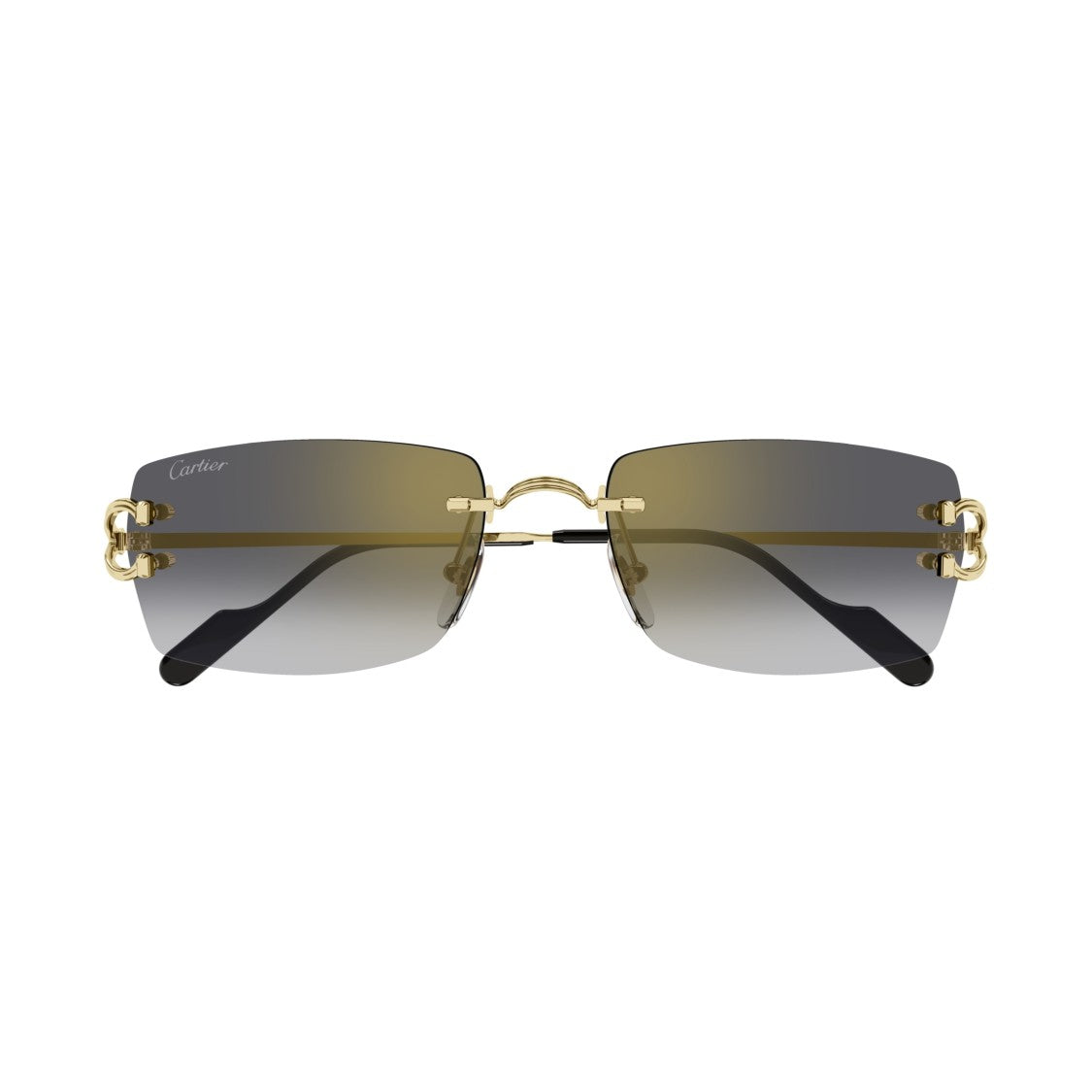 Cartier Ct0550s Acetate Rectangular Sunglasses