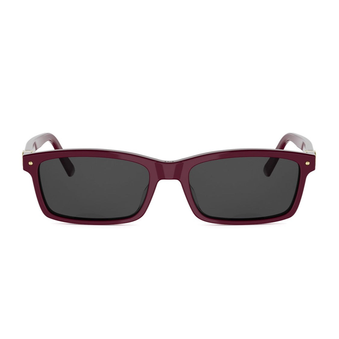 Dior Bordeaux Petit Cd S1i Rectangular Sunglasses