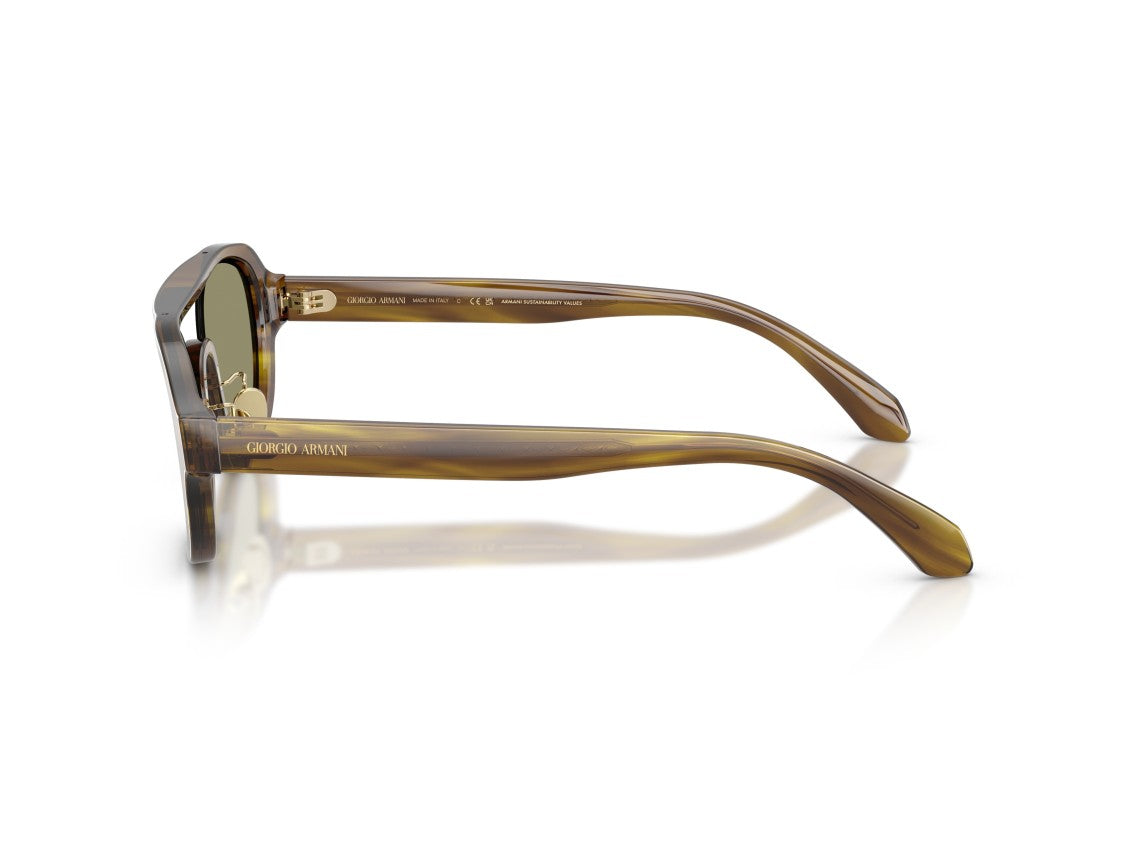 Giorgio Armani Tortoiseshell 0Ar8247 Oversized Sunglasses