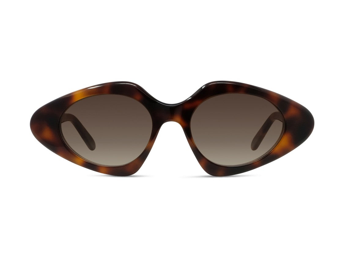 Loewe Lw40185i Oversized Gradient Tortoiseshell Sunglasses