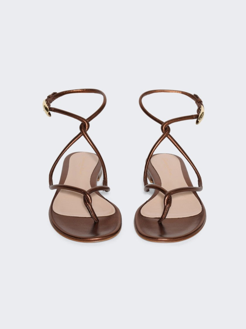 Gianvito Rossi Black Mamba Flat Sandals Chocolate