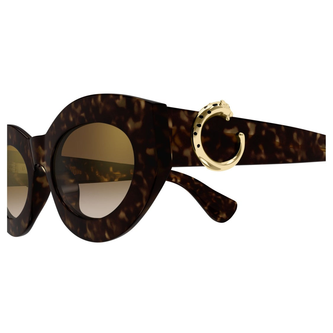 Cartier Ct0638s Bold Tortoiseshell Cat-Eye Sunglasses