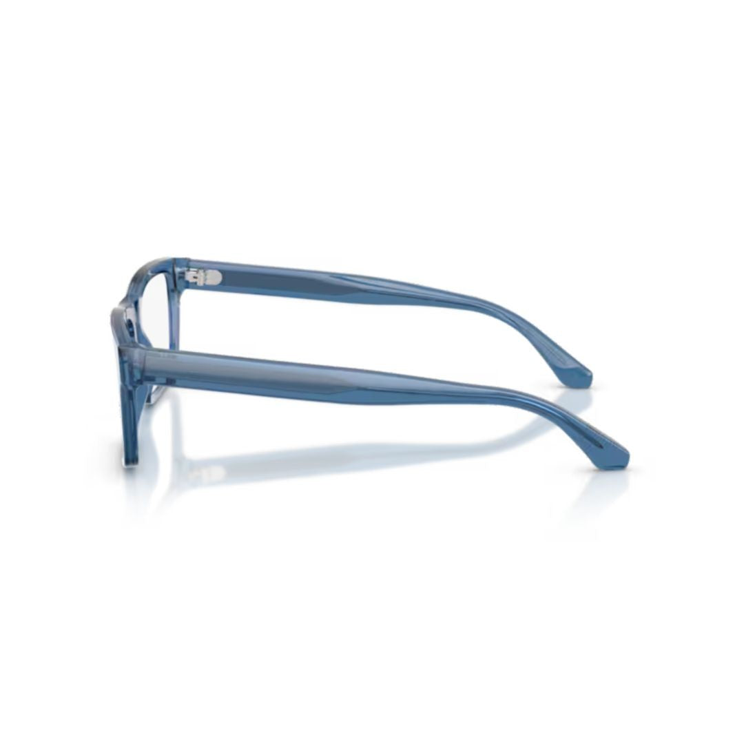 Emporio Armani 0Ea3254 Translucent Acetate Rectangular Eyeglass Frames
