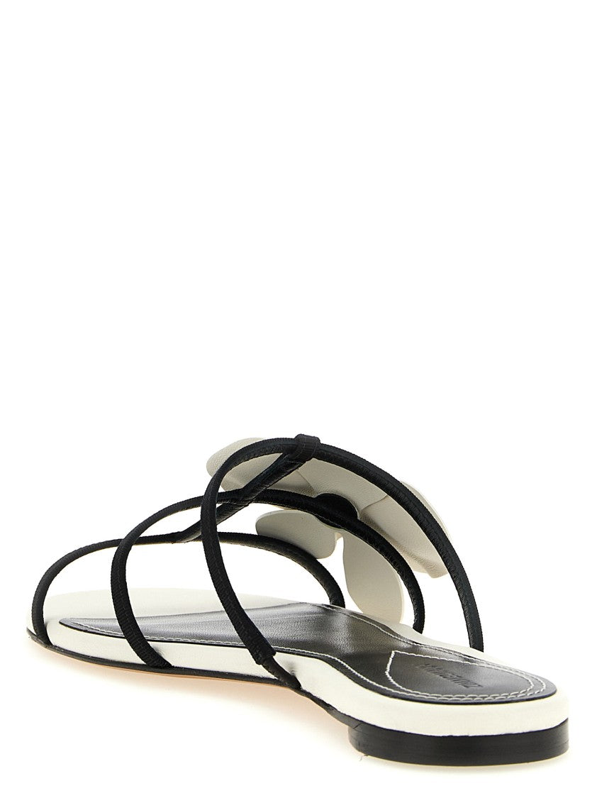 Zimmermann 'Orchid' Slides