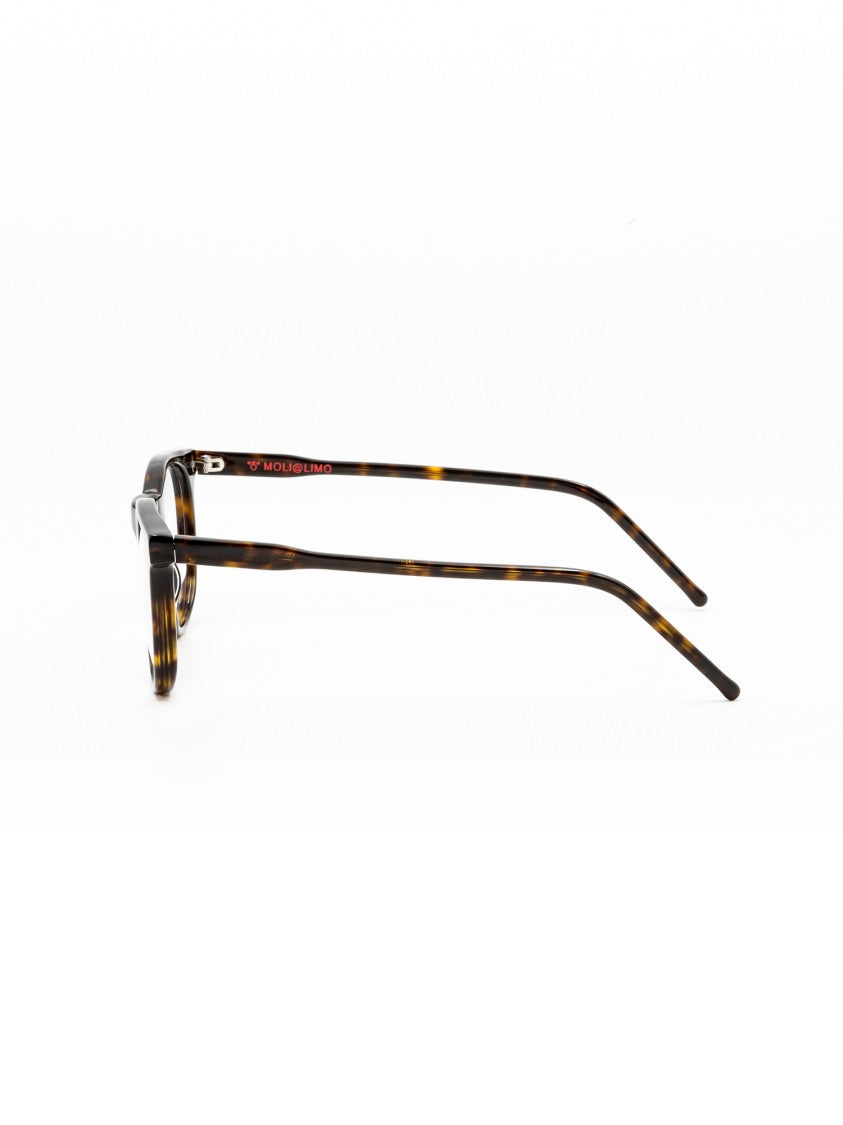 Moli@Limo Brown Md59 Refined Acetate Frames