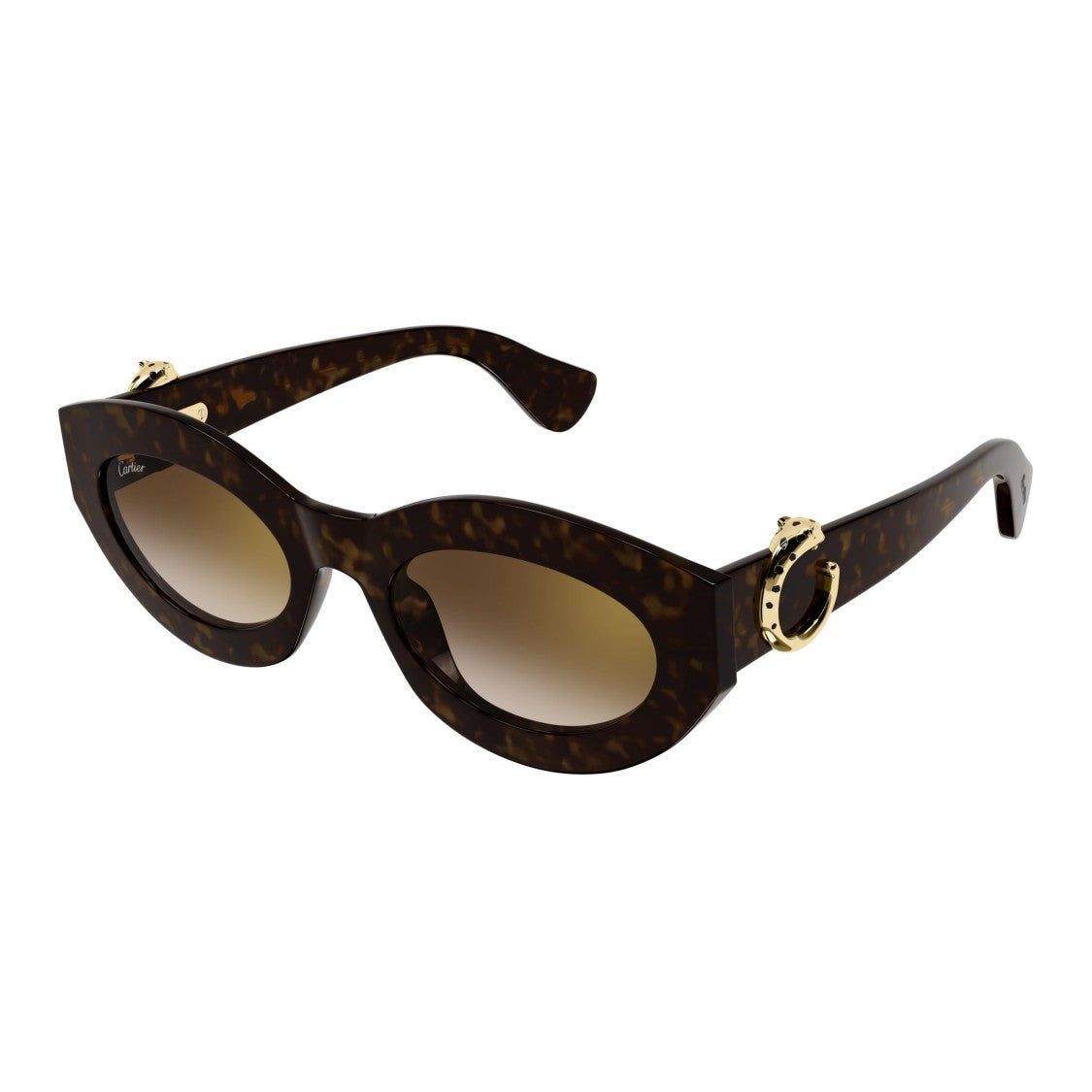 Cartier Ct0638s Bold Tortoiseshell Cat-Eye Sunglasses