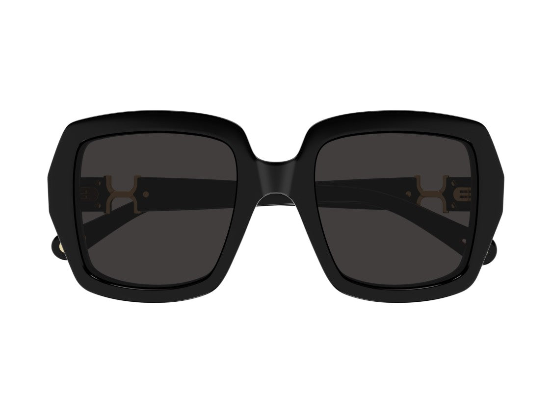 Chloé Black Ch0301s Acetate Square Sunglasses