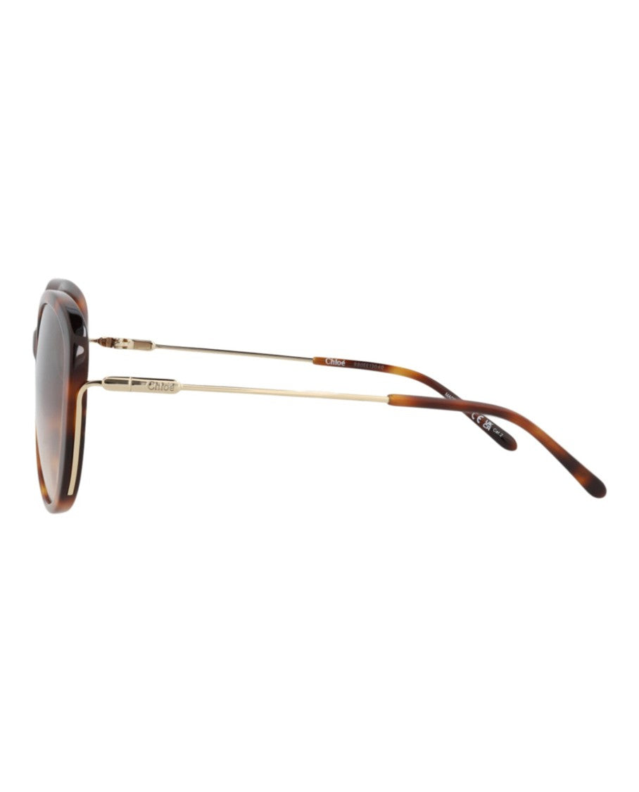 Chloé Tortoiseshell Round-Frame Sunglasses With Gradient Lenses