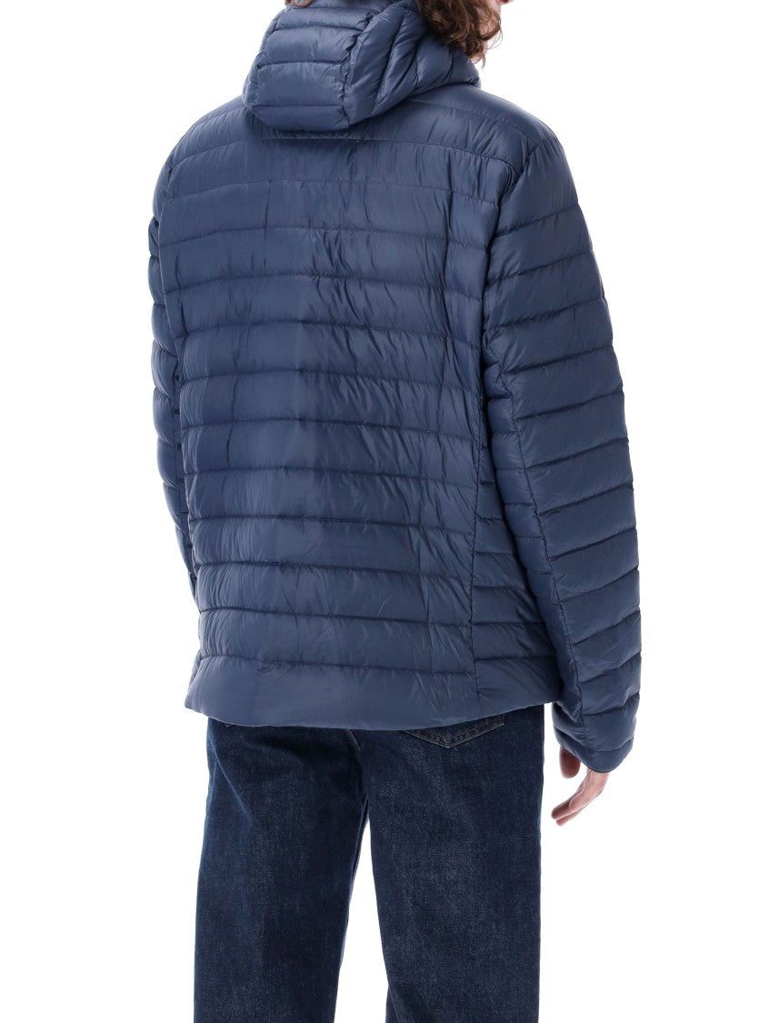 Patagonia Downsweater Hoodie