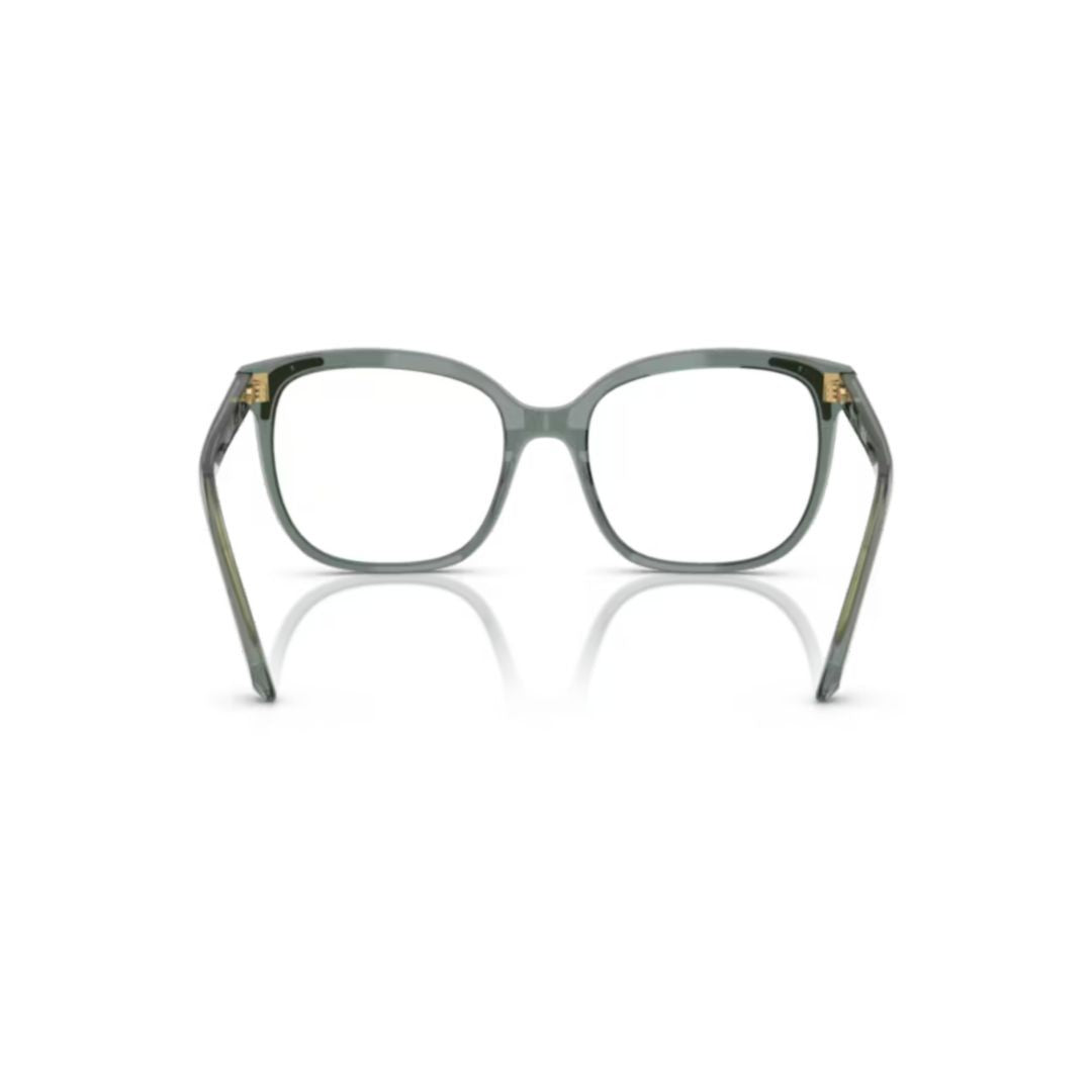 Swarovski 0Sk2033 Translucent Acetate Square Sunglasses