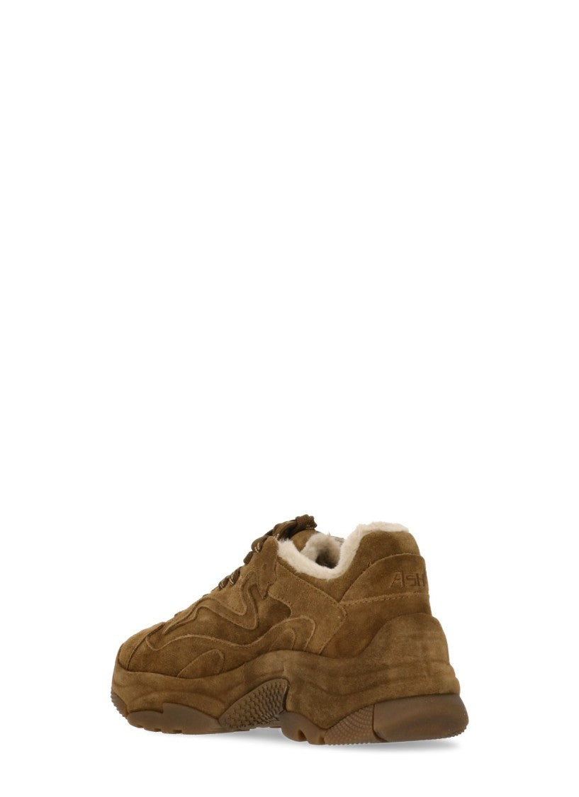 Ash Brown Addict Shearling Suede Sneakers