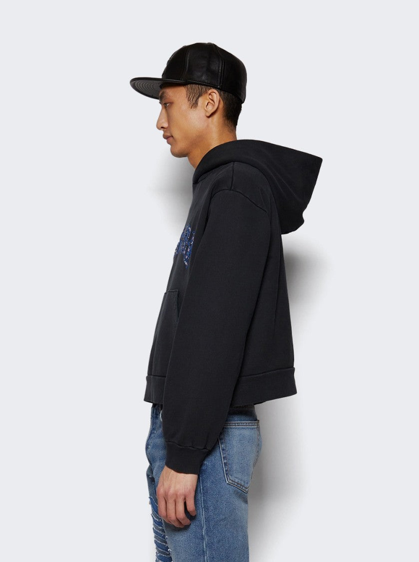 Earthling Vip Hail Mary Hoodie Black